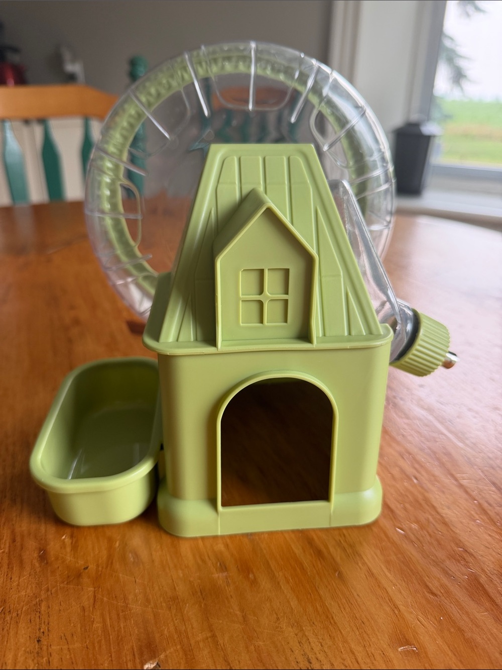 4-in 1 Silent Exercise Wheel for Small Pets